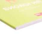 Комплект предметных тетрадей, 48 листов, 10 предметов "Ничего лишнего", обложка мелованный картон - фото 22048410