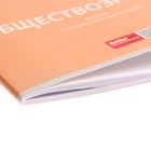 Комплект предметных тетрадей, 48 листов, 10 предметов "Ничего лишнего", обложка мелованный картон - фото 22048389