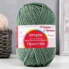 Пряжа "Простая" 50% шерсть, 50% акрил 200м/100гр (273-Шторм) 9459566 - фото 10289836