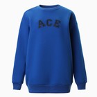 Джемпер (свитшот) женский MINAKU: Casual Collection цвет синий , р-р 46 9506933 - фото 14156143