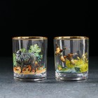 Набор подарочный «Трофейная охота», стеклянный, 3 предмета: графин «Цезарь» 550 мл+ 2 стакана 250 мл - фото 24245582