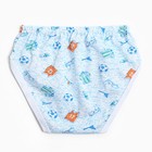 Трусы для мальчика, цвет МИКС, рост 116-122 см - фото 24629001