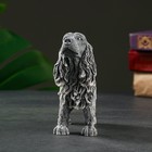 Сувенир "Кокер-спаниель" средний, 12см - фото 22049782