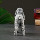 Сувенир "Кокер-спаниель" средний, 12см - фото 22049784