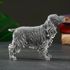 Сувенир "Кокер-спаниель" средний, 12см - фото 22049785