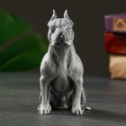 Сувенир "Стафорд" малый, 12см - фото 24123008