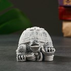 Сувенир "Черепаха на монетах" 6см - Фото 2