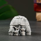 Сувенир "Черепаха на монетах" 6см - Фото 4