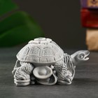 Сувенир "Черепаха на монетах" 6см - Фото 5