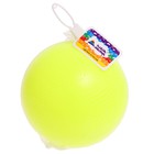 Мяч NEO, диаметр 160 мм, цвет лимонный, МИКС - Фото 5