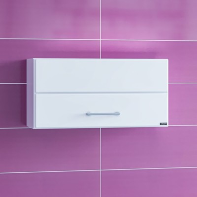 Шкаф подвесной «Омега», 600×300 мм, горизонтальный