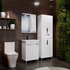 Зеркало – шкаф «Родос-600», правый, с подсветкой  (артикул 9469438)  большой выбор товаров оптом и в розницу по низким ценам с доставкой