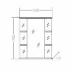 Зеркало-шкаф СаНта «Герда-550», фацет - Фото 3