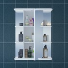 Зеркало-шкаф СаНта «Герда-550», с подсветкой, фацет - Фото 2