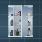 Зеркало-шкаф СаНта «Герда-600», фацет - Фото 2