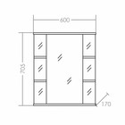 Зеркало-шкаф СаНта «Герда-600», фацет - Фото 3