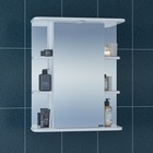 Зеркало-шкаф СаНта «Герда-600», с подсветкой, фацет - Фото 1