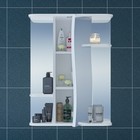 Зеркало-шкаф СаНта «Лира-550», с подсветкой  (артикул 9469496)  большой выбор товаров оптом и в розницу по низким ценам с доставкой