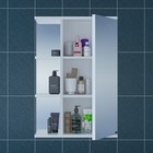 Зеркало-шкаф СаНта «Ника-500», фацет, правое - Фото 2