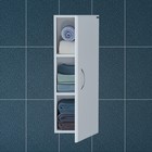 Шкаф подвесной "Стандарт 300*800" - Фото 2