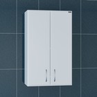 Шкаф подвесной "Стандарт 480*800" - Фото 1