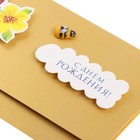 Открытка "С Днём Рождения!" объемная, птица, пчела,  А5 - фото 22050525