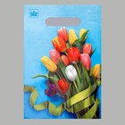 Пакет "Тюльпаны", полиэтиленовый с вырубной ручкой, 20х30 см, 30 мкм, набор 5 шт - фото 11863431