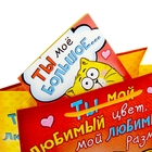 Пакет ламинированный вертикальный с открыткой «Мой любимый цвет», 18 × 23 см - Фото 4