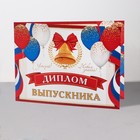 Диплом "Выпускник!" глиттер, шары, флаг, 44,5х16,5 см 9526729 - фото 150563