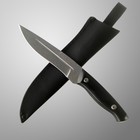 Нож универсальный "Маэстро" сталь - 95Х18, рукоять - паккавуд, 29 см - фото 319300796