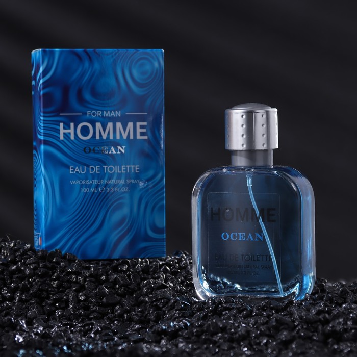 Туалетная вода мужская Homme Ocean, 100 мл (по мотивам Acqua Di Gio (G.Armani) - Фото 1