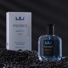 Туалетная вода мужская Vicont Seductive, 100 мл 9498383 - фото 10293110