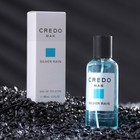 Туалетная вода мужская CREDO MAN Silver Rain, 100 мл (по мотивам Azzaro Chrome (Azzaro) 9498388 - фото 3509046