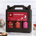 Подарочный набор бутылок по 0.5 литр"ЯГОДНАЯ СЕРИЯ" (Зимняя вишня, клюквенно-брусничная, ягодная) 95 - фото 27189229