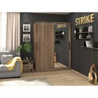 Шкаф - купе Strike, 1600×595×2105 мм, с зеркалом, цвет дуб табачный craft - Фото 3