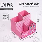 Органайзер для канцелярии «Учусь на отлично» - Фото 1