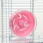 Клетка для грызунов с туннелем и наполнением, 32 х 21 х 55, см, розовая - Фото 6