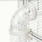 Клетка для грызунов, 32×21×55 см, с туннелем и наполнением, розовая - Фото 10