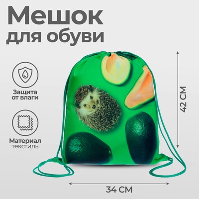 Мешок для обуви 420 х 340 мм, Calligrata МСО-5С, (мягкий полиэстер, плотность 210D), "Ежик с Авокадо зеленое"