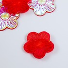 Декор для творчества пластик  "Цветок" голография красный набор 6 шт 3,5х3,5 см - фото 6827826