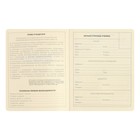 Дневник школьный для 1-11 классов SchoolMix. Koala, твёрдая обложка, искусственная кожа, с поролоном, ляссе, 48 листов, блок тонированный 70г/м2 - фото 22053925