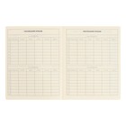 Дневник школьный для 1-11 классов SchoolMix. Koala, твёрдая обложка, искусственная кожа, с поролоном, ляссе, 48 листов, блок тонированный 70г/м2 - фото 22053927