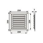 Решетка вентиляционная ZEIN Люкс РМ2525, 250 х 250 мм, с сеткой, металлическая, белая - фото 9272568