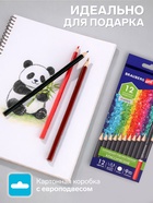 Карандаши художественные цветные BRAUBERG ART CLASSIC, 12 цветов, мягкий грифель 3.3 мм - Фото 2