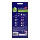 Карандаши художественные цветные BRAUBERG ART CLASSIC, 12 цветов, мягкий грифель 3.3 мм - Фото 4