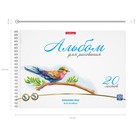 Альбом для рисования А4, 20 листов на спирали, Erich Krause Birds, блок 120 г/м², 100% белизна, перфорация для отрыва, твёрдая подложка - Фото 4