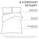 Постельное бельё LoveLife 2сп "Plum" 175х215см, 200х225см, 50х70см-2шт, 100% хлопок, сатин, 125г/м 9305073