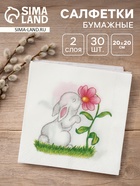 Салфетки бумажные пасхальные «Милый зайчик», 2 слоя, 20×20 см, 30 шт. - Фото 1