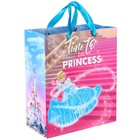 Пакет ламинированный вертикальный, 23 х 27 х 11,5 см "Time to be princess", Принцессы - фото 9272774