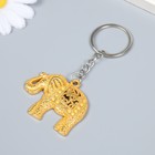 Брелок металл "Индийский слон" с узорами МИКС 5х3,7 см (комплект 12 шт) - фото 22058697